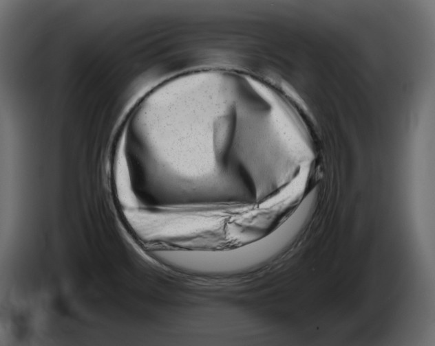 X0000082971468200703020224