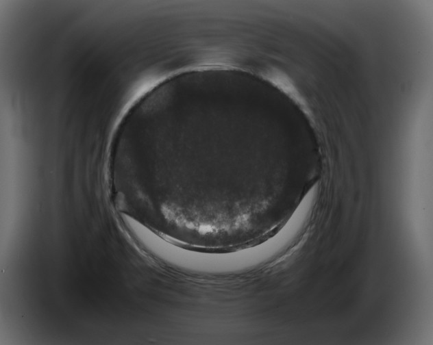 X0000082971469200703020223