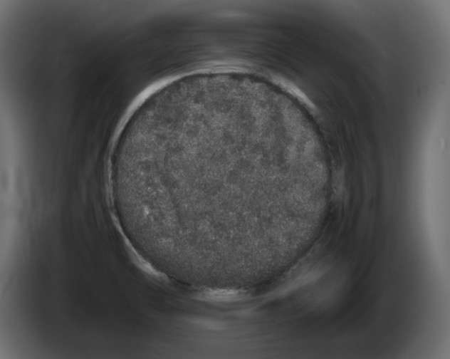 X0000082971470200703020223