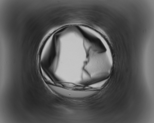 X0000082971472200703020223