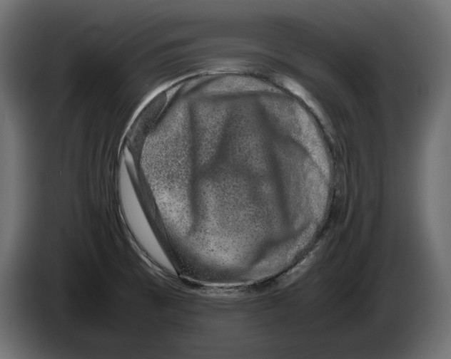 X0000082971473200703020223