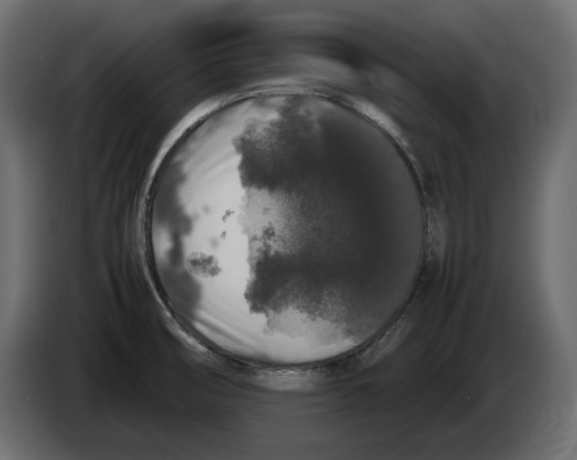 X0000082971474200703020223