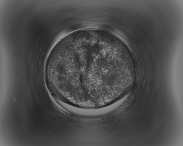 X0000082971475200703020223