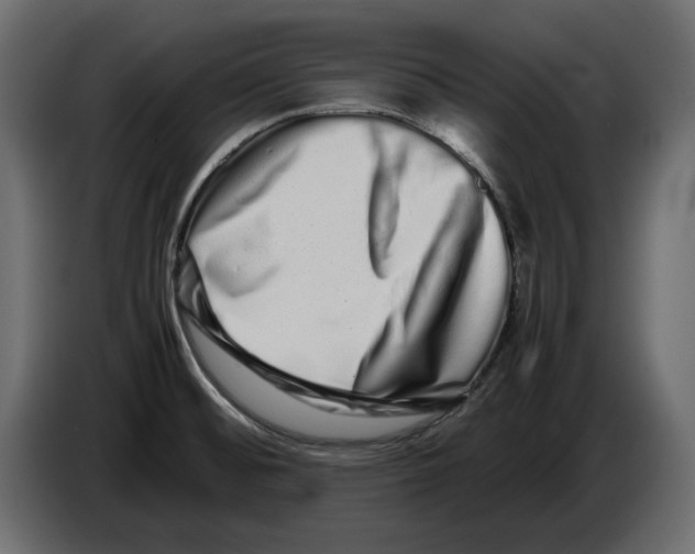 X0000082971476200703020223