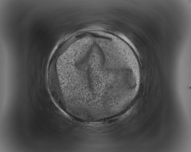 X0000082971477200703020223