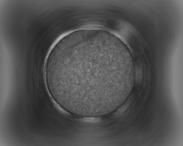 X0000082971478200703020223