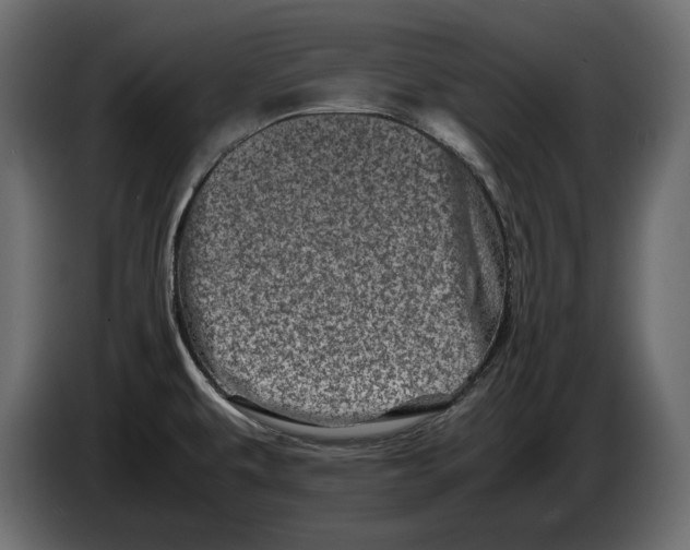 X0000082971479200703020223