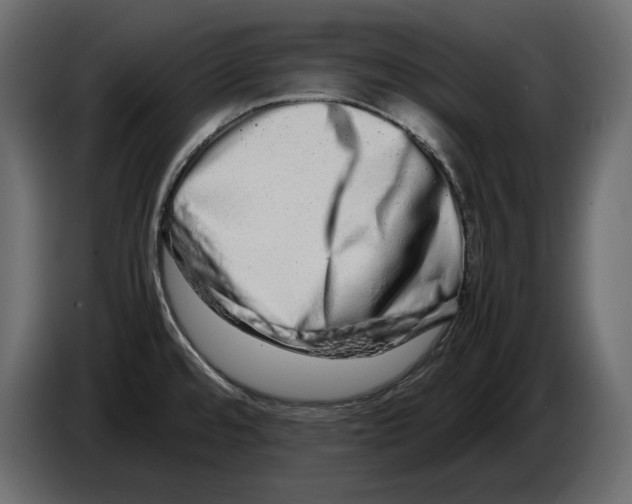 X0000082971480200703020223