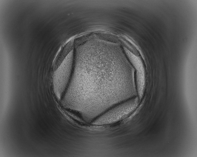 X0000082971481200703020223