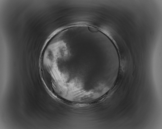 X0000082971482200703020223