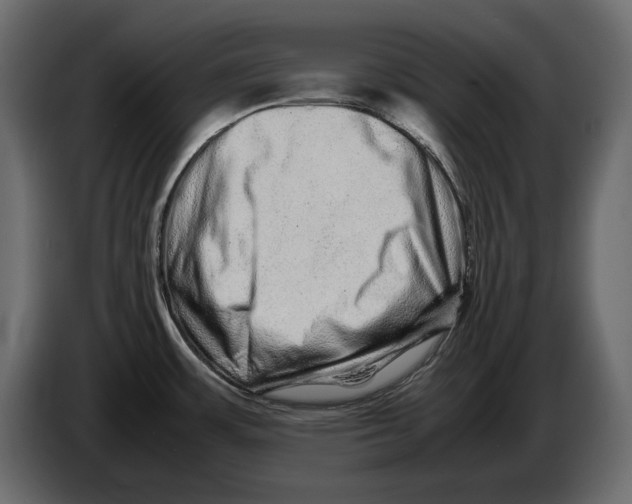 X0000082971483200703020223