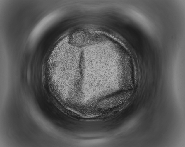 X0000082971487200703020223