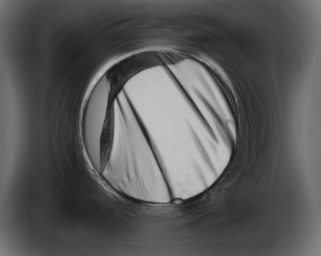 X0000082971488200703020223