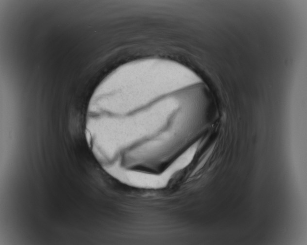 X0000082971490200703020223