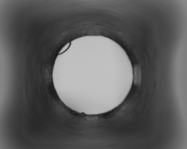 X0000082971491200703020223