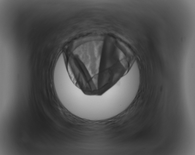 X0000082971492200703020223