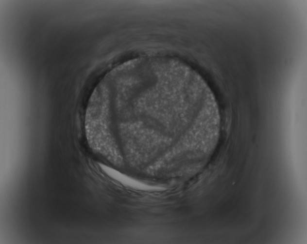 X0000082971493200703020223