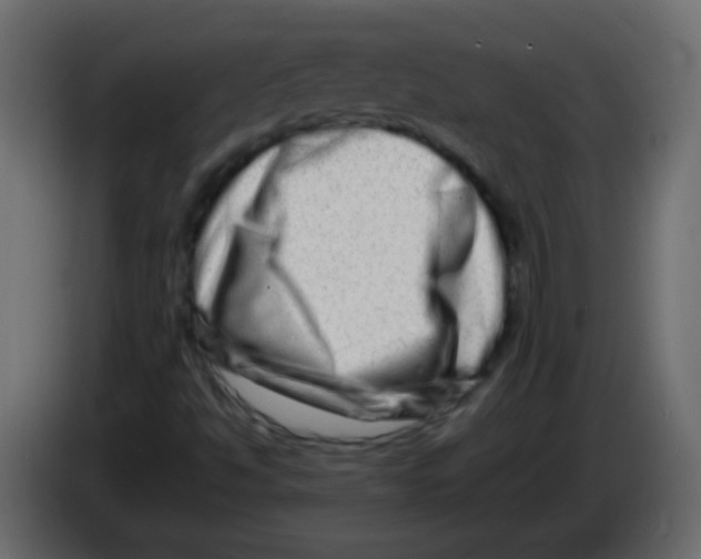 X0000082971494200703020223