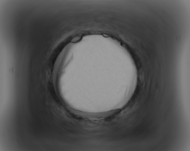 X0000082971495200703020223