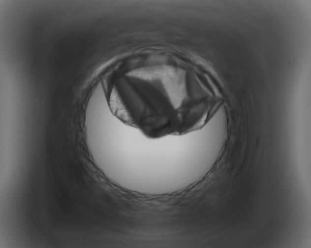 X0000082971496200703020223