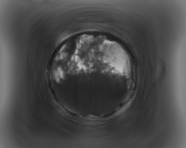 X0000082971497200703020223