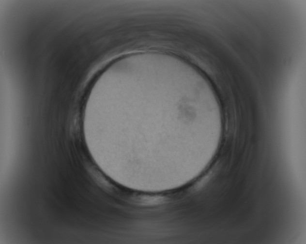 X0000082971498200703020223