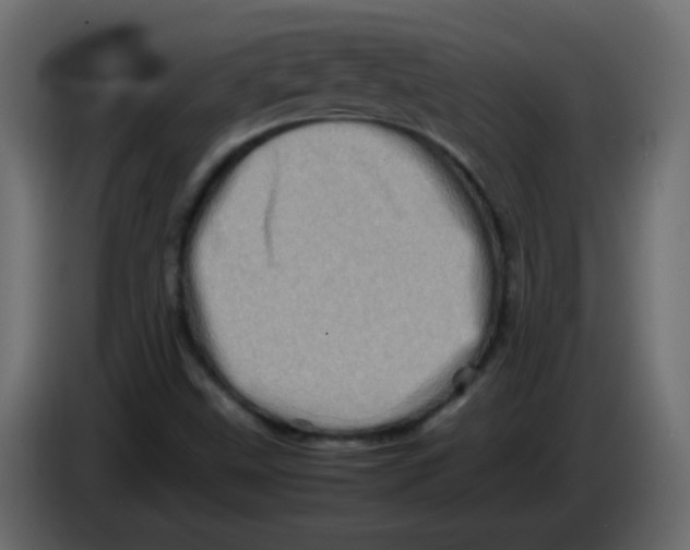 X0000082971499200703020223