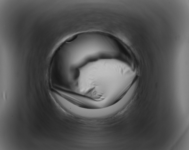 X0000082971500200703020223