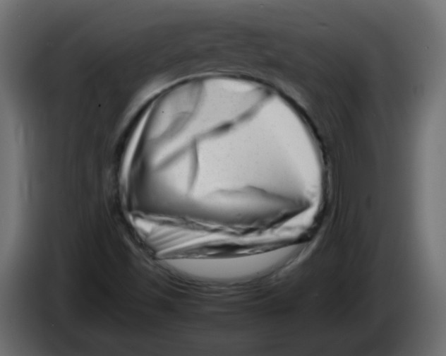 X0000082971501200703020223