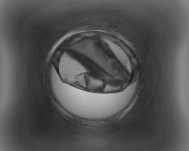 X0000082971502200703020223