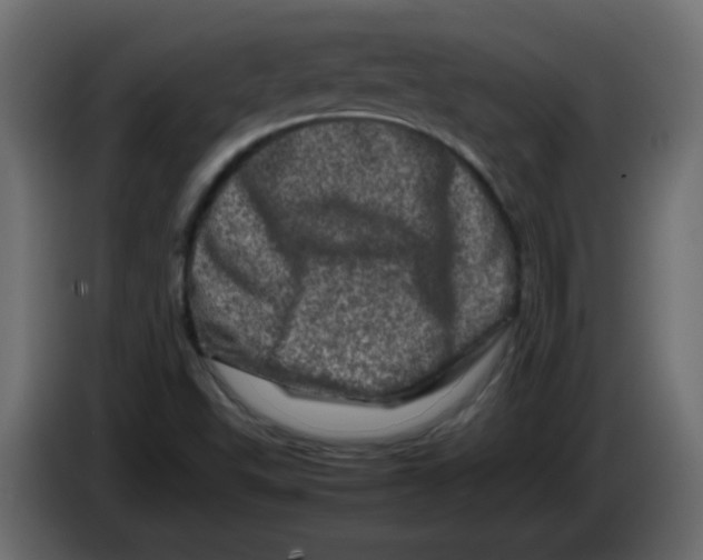 X0000082971503200703020223