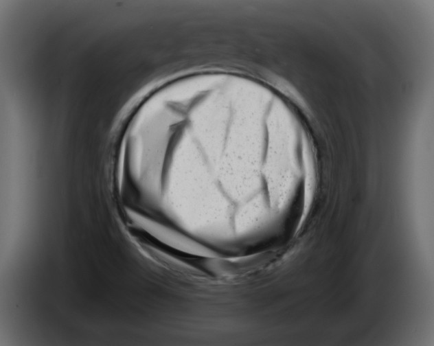 X0000082971504200703020223