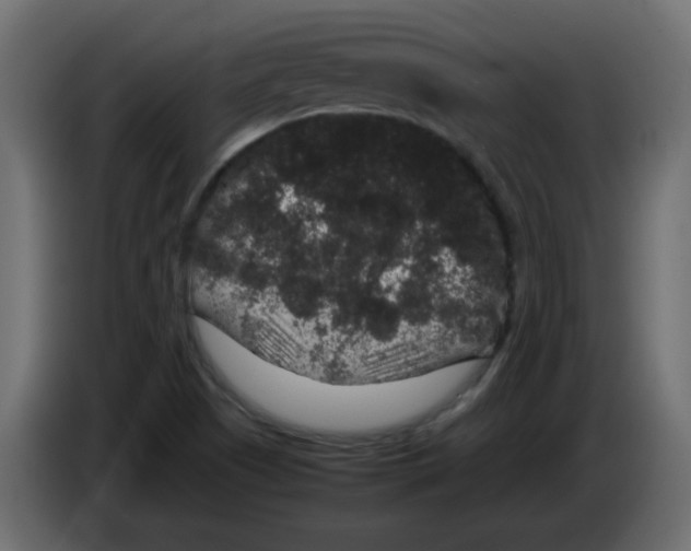 X0000082971505200703020223