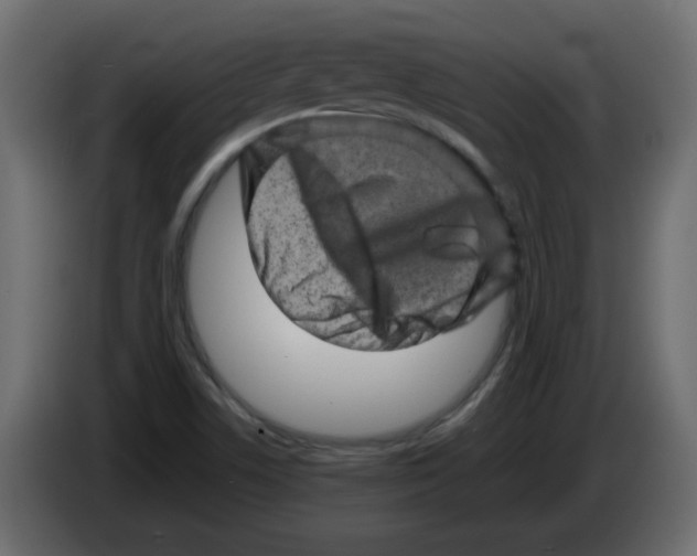 X0000082971506200703020223