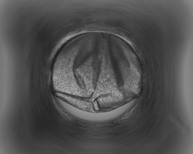 X0000082971507200703020223