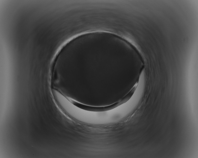 X0000082971508200703020223