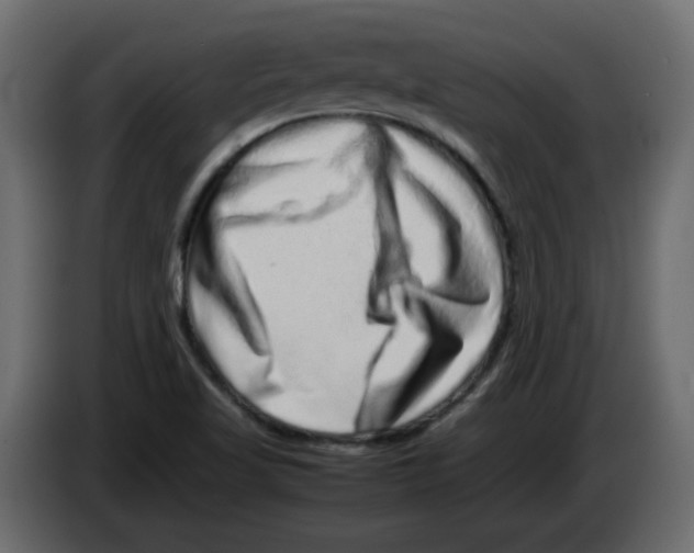 X0000082971509200703020223