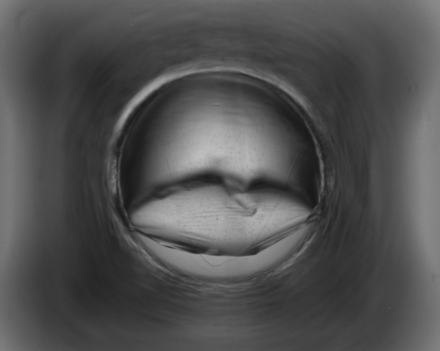 X0000082971510200703020223