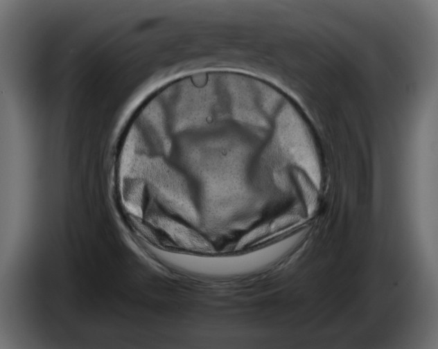 X0000082971511200703020223