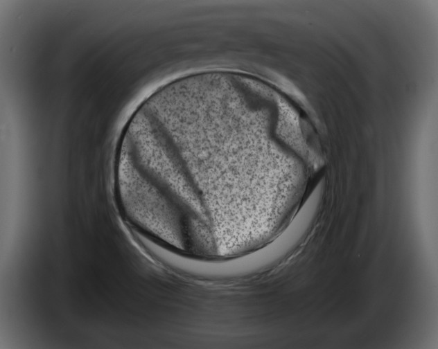 X0000082971512200703020223