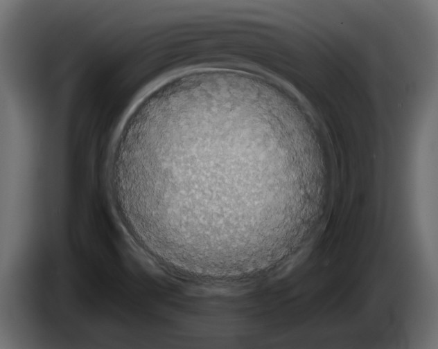 X0000082971514200703020223