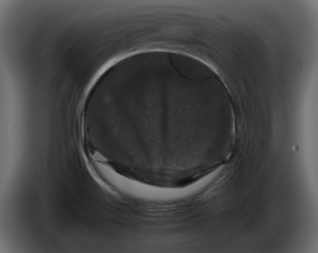 X0000082971515200703020223