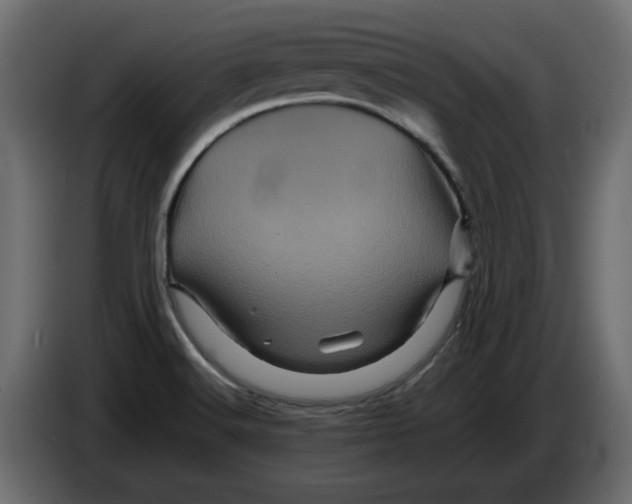 X0000082971516200703020223