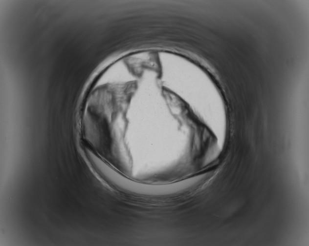 X0000082971517200703020223