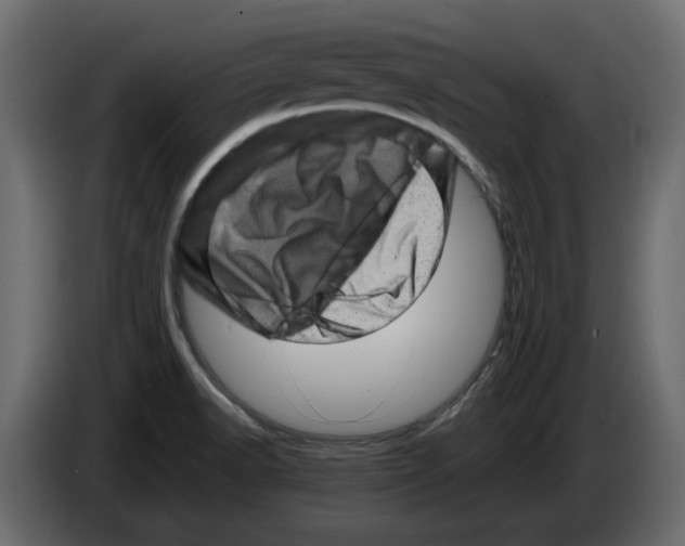 X0000082971518200703020223