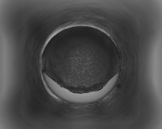 X0000082971519200703020223