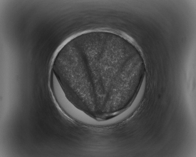 X0000082971520200703020223