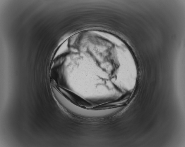 X0000082971521200703020223