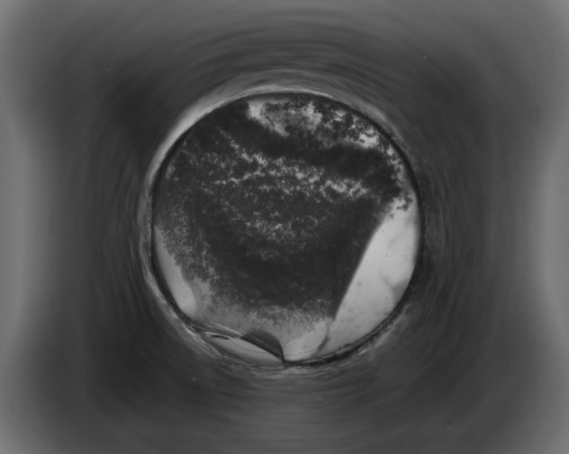 X0000082971522200703020223