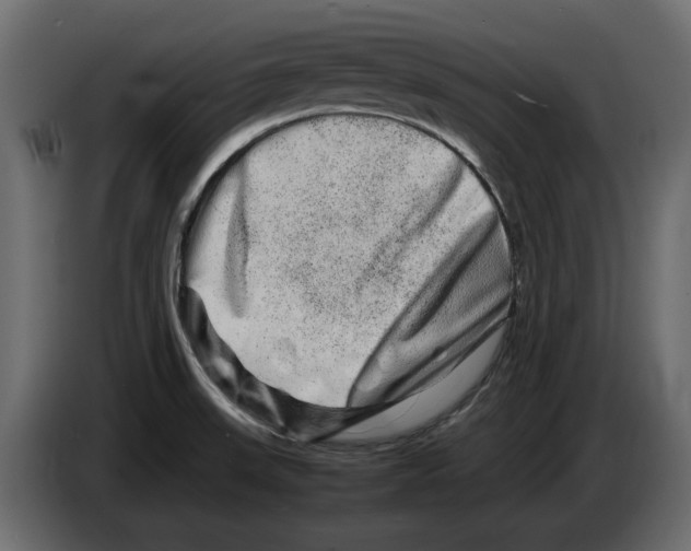 X0000082971523200703020223